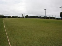 IMG_7130.JPG