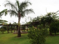 IMG_7163.JPG