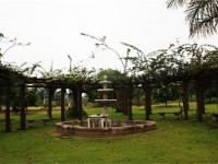 IMG_7165.JPG