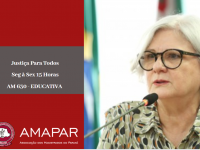 Desembargadora Lenice Bodstein avalia as ações realizadas pelo CEVID no combate a violência doméstica