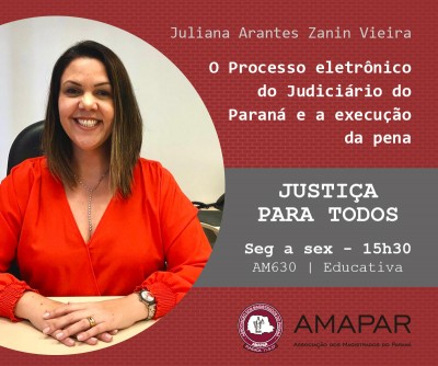 O Processo eletrônico do Judiciário do Paraná e a execução da pena