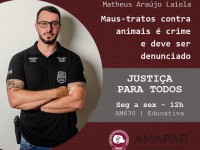 Maus-tratos contra animais é crime e deve ser denunciado