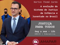 A evolução do Sistema de Justiça da Infância e Juventude no Brasil