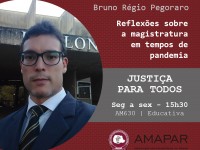 Reflexões sobre a magistratura em tempos de pandemia