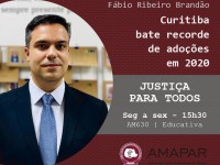Curitiba bate recorde de adoções em 2020 