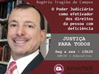 O Poder Judiciário como efetivador dos direitos da pessoa com deficiência