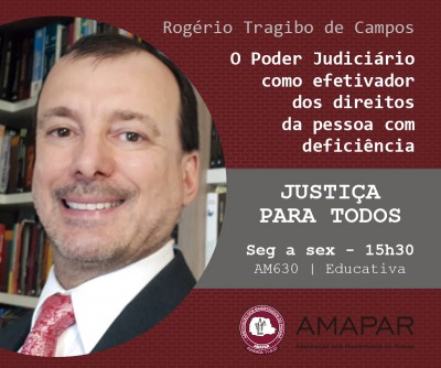 O Poder Judiciário como efetivador dos direitos da pessoa com deficiência