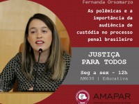 As polêmicas e a importância da audiência de custódia no processo penal brasileiro