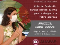 Além da Covid-19, Paraná mantém alerta para a dengue e a febre amarela