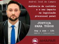 Audiência de custódia e o seu impacto na legislação processual penal