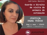 Guarda e Direito de visita de animais de estimação
