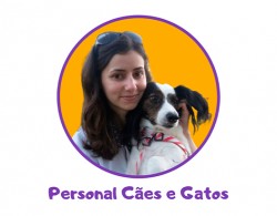 Personal Cães e Gatos - Consultora comportamental 